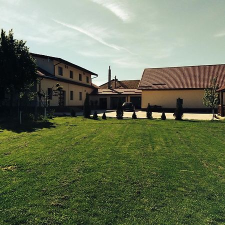 Pensiunea Marmis Riu Barbat Exterior photo